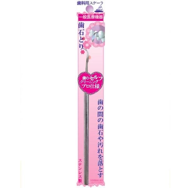 【まとめ買い-288点セット】歯石とり　ＯＬ－００９ 【 アヌシ 】 【 デンタル用品 】
