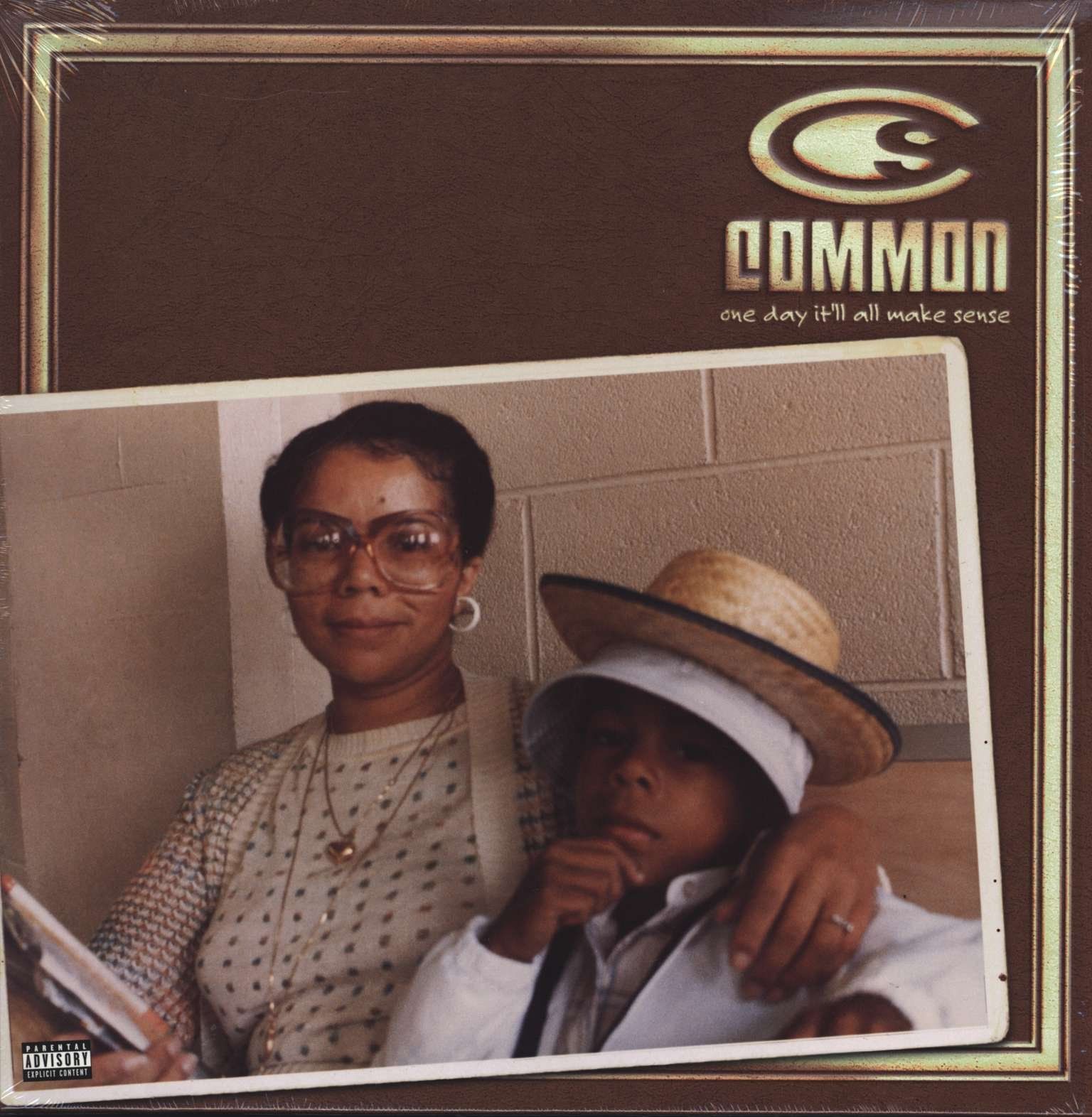 One Day It ll All Make Sense 12 inch Analog 品