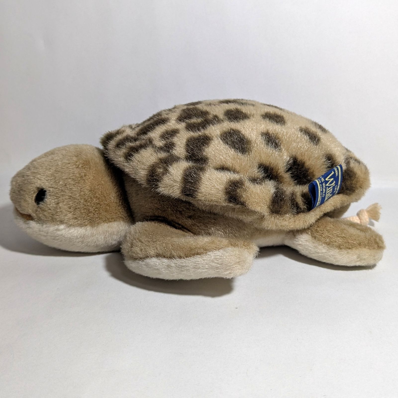 Earth Wind (アースウィンド) セキグチ製 ウミガメのぬいぐるみ 1個