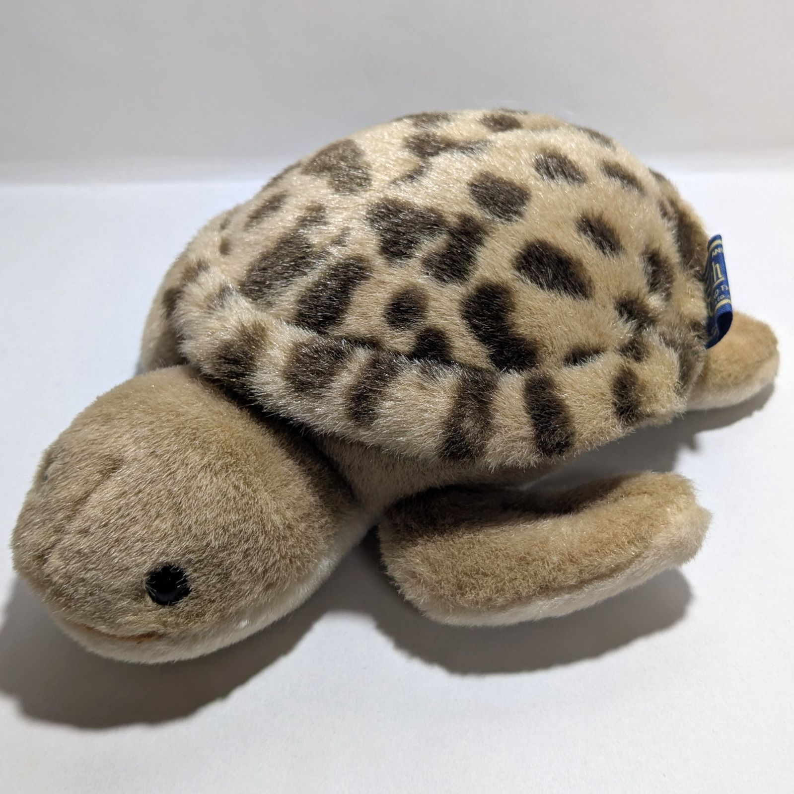 Earth Wind (アースウィンド) セキグチ製 ウミガメのぬいぐるみ 1個