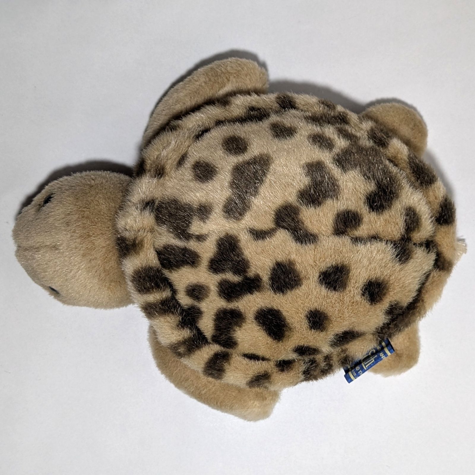 Earth Wind (アースウィンド) セキグチ製 ウミガメのぬいぐるみ 1個