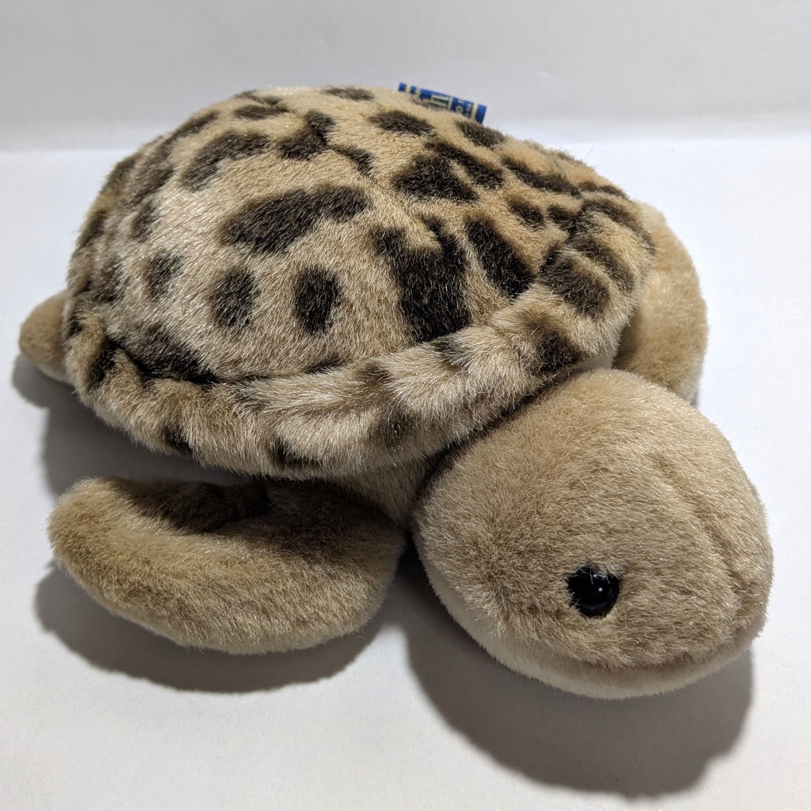 セキグチ　ウミガメ　亀　かめ　Earth Wind ぬいぐるみ Earth Wind (アースウィンド) セキグチ製 ウミガメのぬいぐるみ 1個