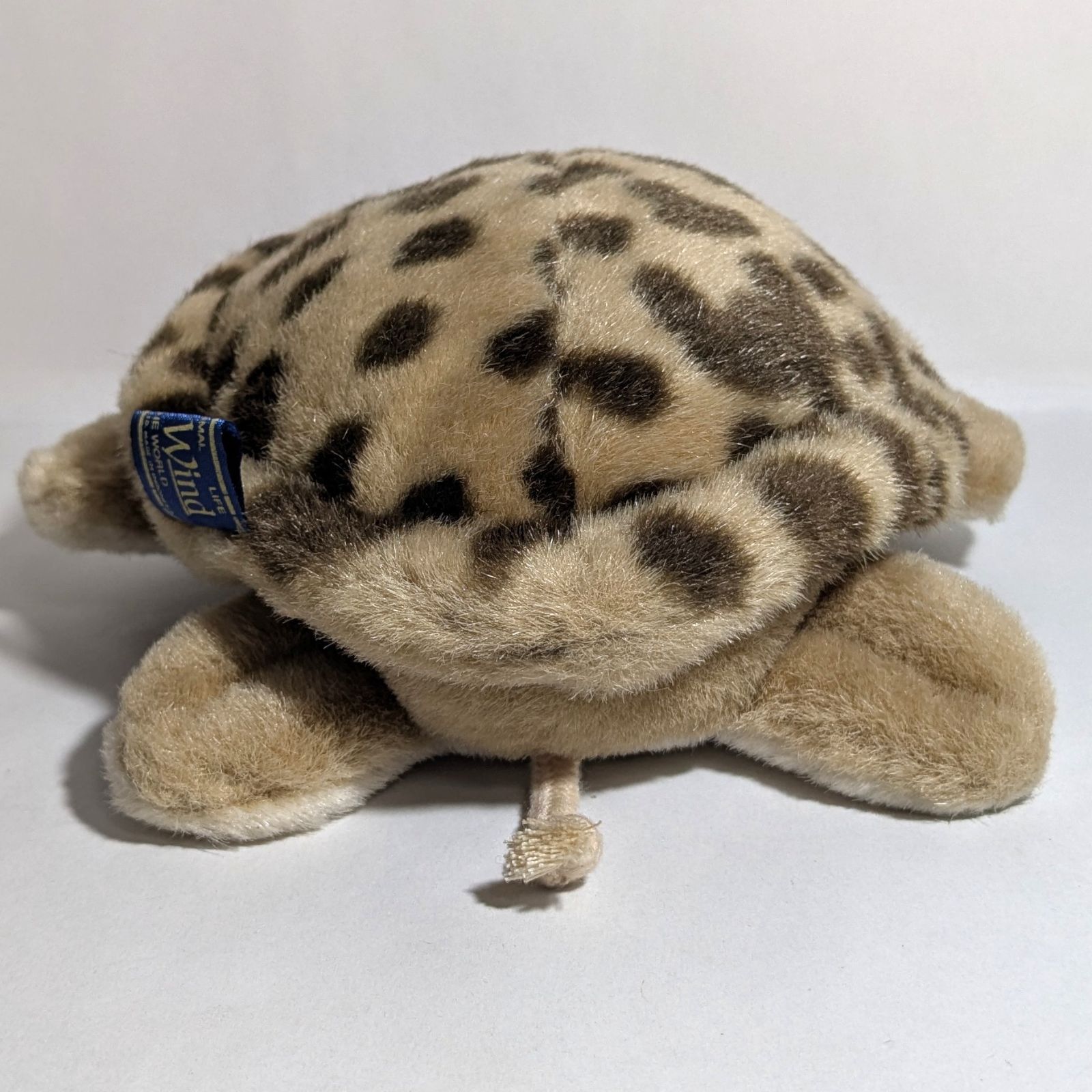 セキグチ　ウミガメ　亀　かめ　Earth Wind ぬいぐるみ Earth Wind (アースウィンド) セキグチ製 ウミガメのぬいぐるみ 1個