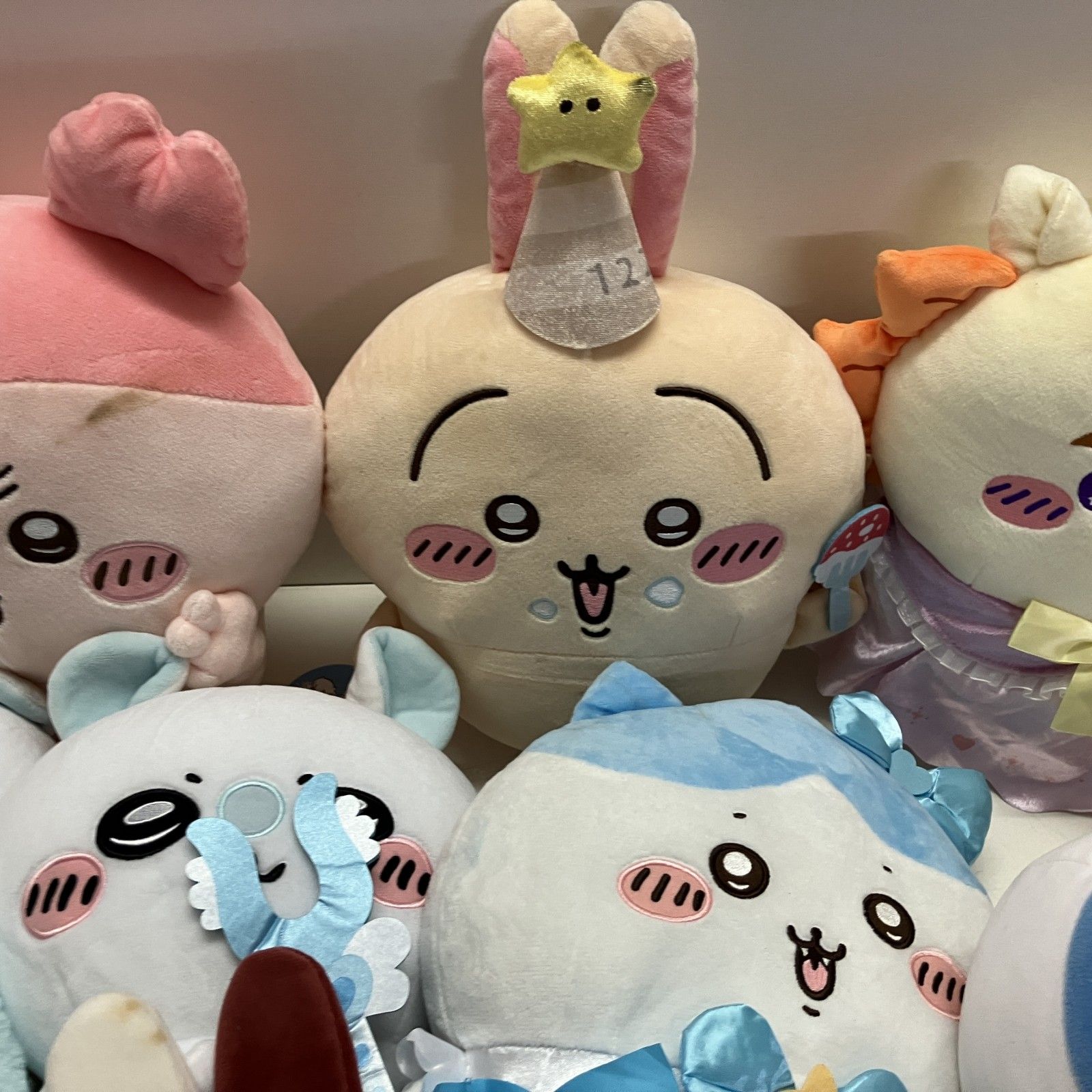 シーサー ハチワレなど