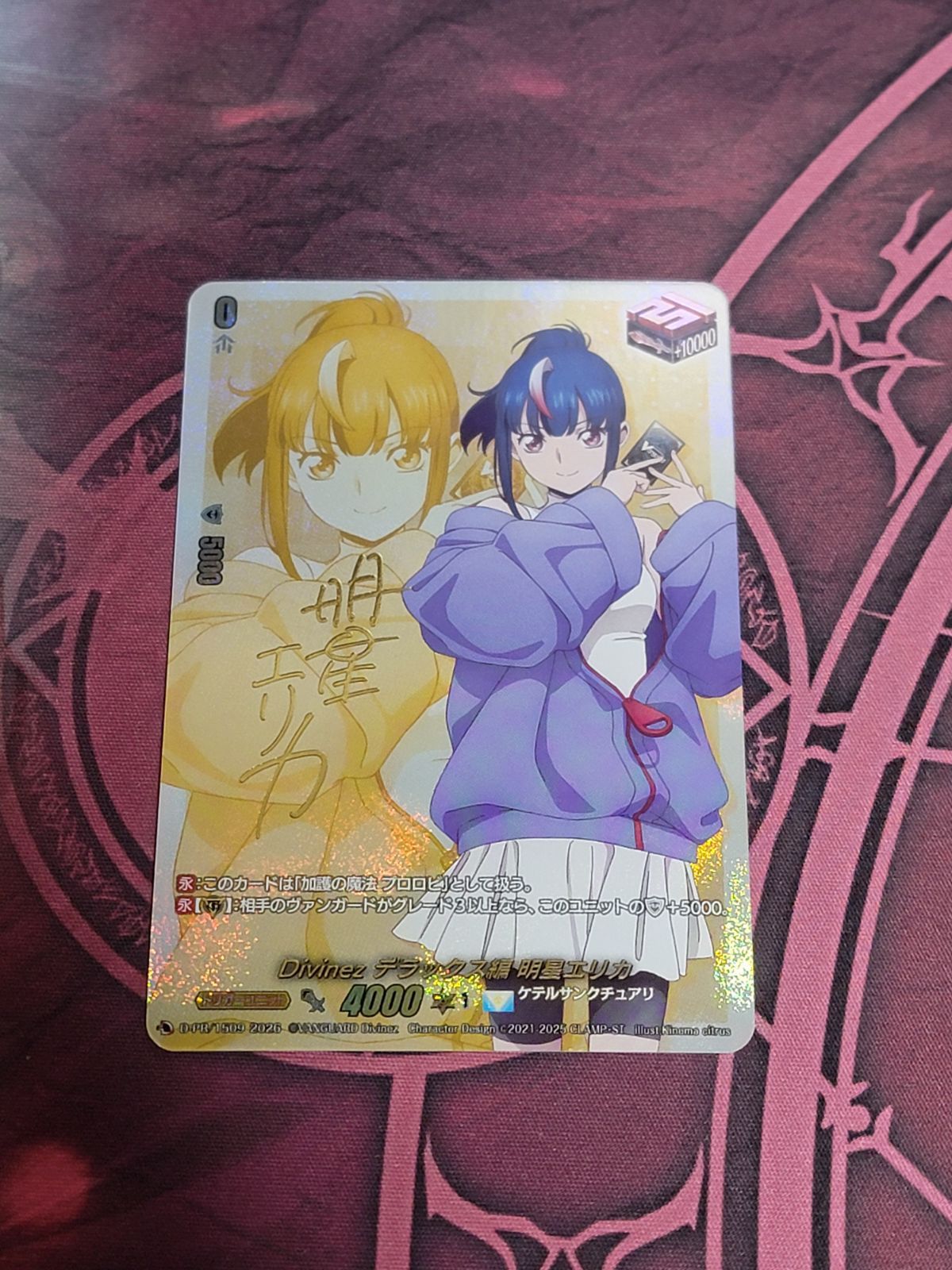 VG】Divinez デラックス編 明星エリカ（箔押しサイン入り）【D-PR/1509