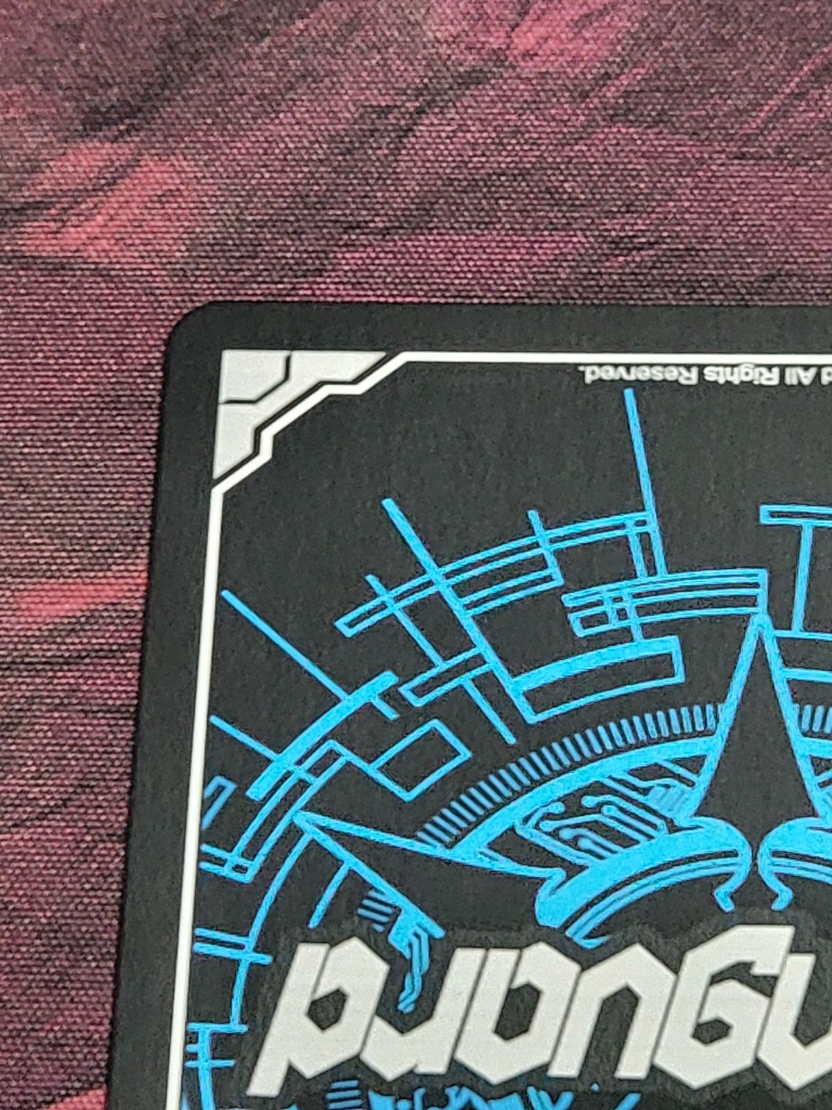 VG】Divinez デラックス編 明星エリカ（箔押しサイン入り）【D-PR/1509