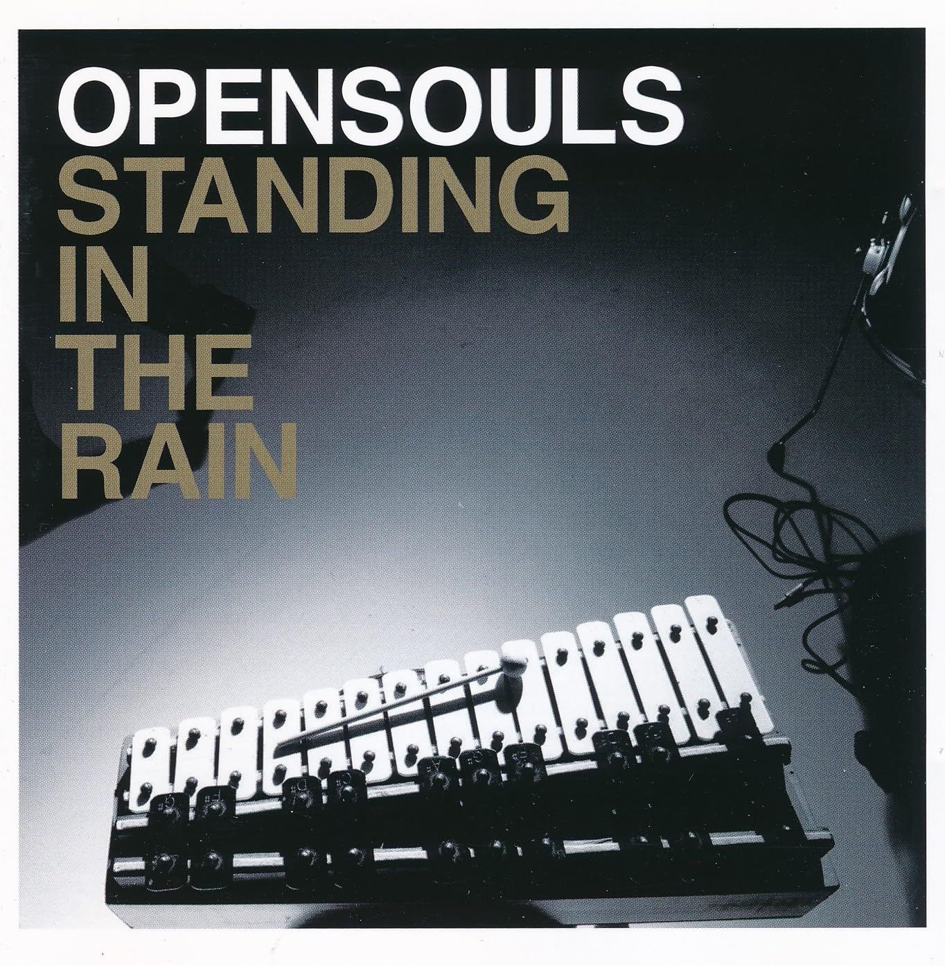 Standing In The Rain 品