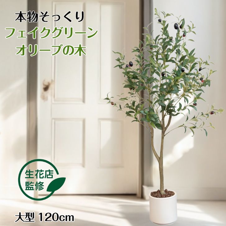 フェイクグリーン オリーブの木 大型 観葉植物 120cm 白鉢 Kugusa