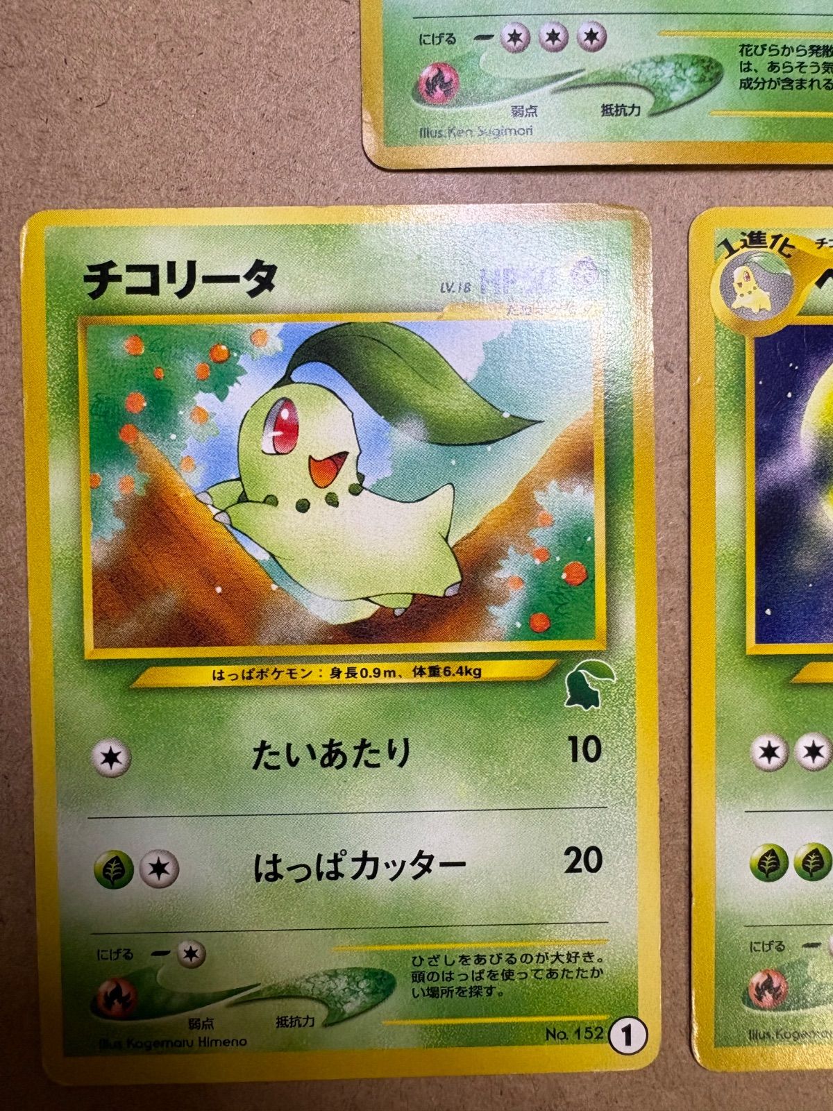 イントロパックneoのチコリータ1＆ベイリーフ24＆メガニウム