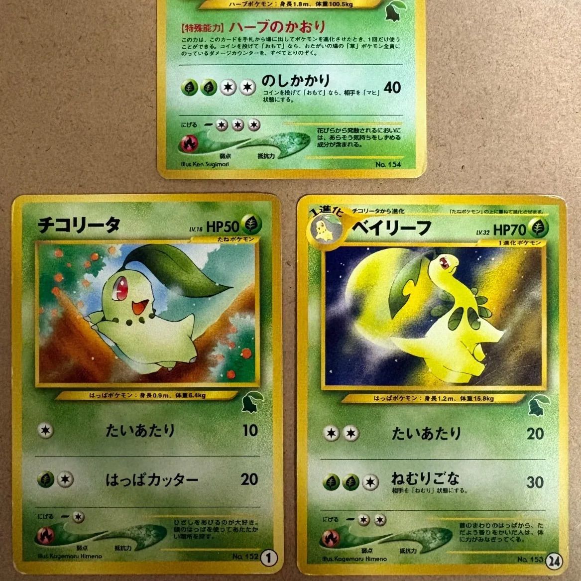イントロパックneoのチコリータ1＆ベイリーフ24＆メガニウム チコリータマーク ポケモンカード旧裏