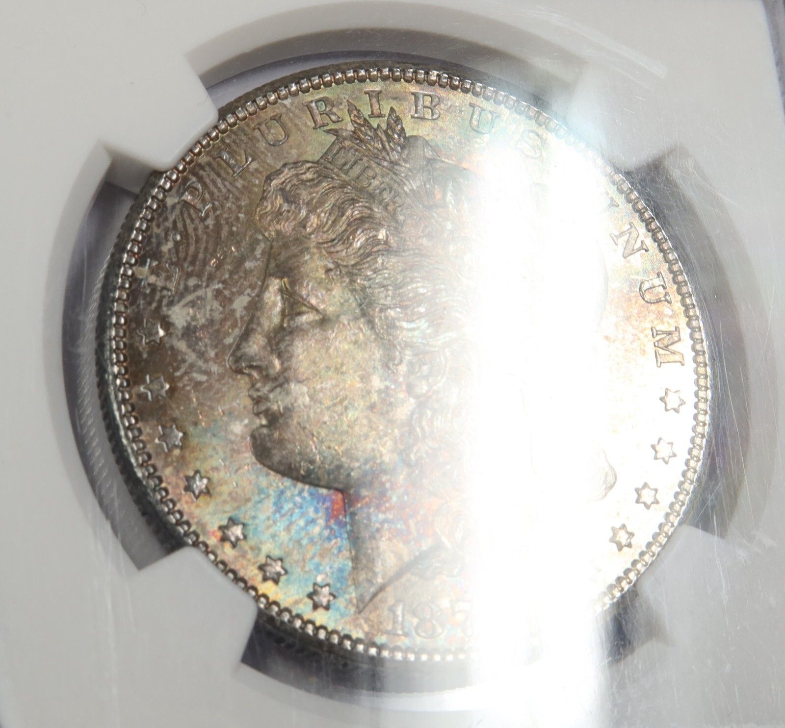 1879 S NGC MS65+ | TD シルバー モルガン ダラー - 1ドルコイン
