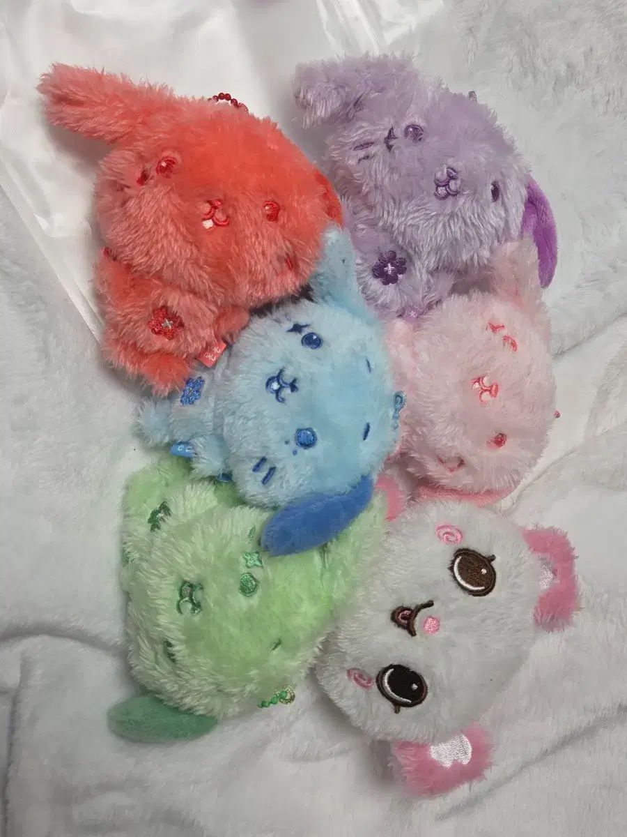 まとめ売り 開封 WIND AND WISH ドール 팡이 COLOR リョンリョンイ