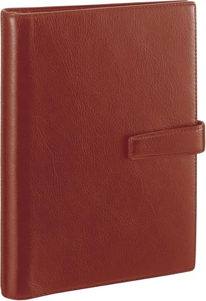 レイメイ藤井 システム手帳 ダヴィンチ スタンダード A 5 ブラウン