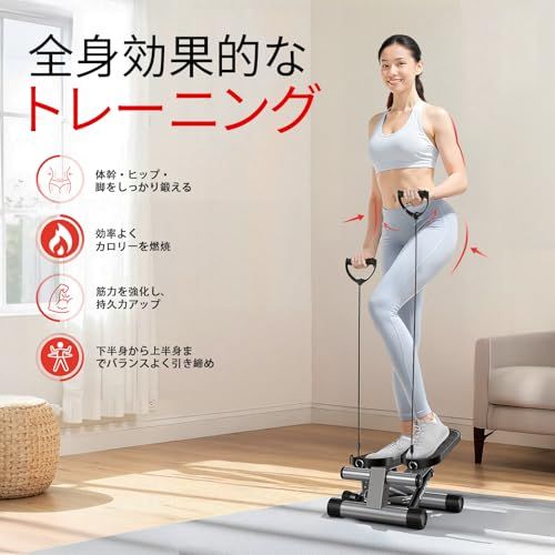 2026年 アップグレード版 CHAOKE ステッパー ツイストステッパー 静音 ダイエット エア＋オイル駆動 最大耐荷重150 kg 体幹 有酸素運動 筋トレ対応 室内用 トレーニング器具 5年保証p 4670 bb 8 e