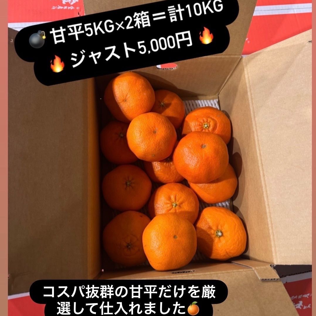 甘平 10kg箱 【公式通販】