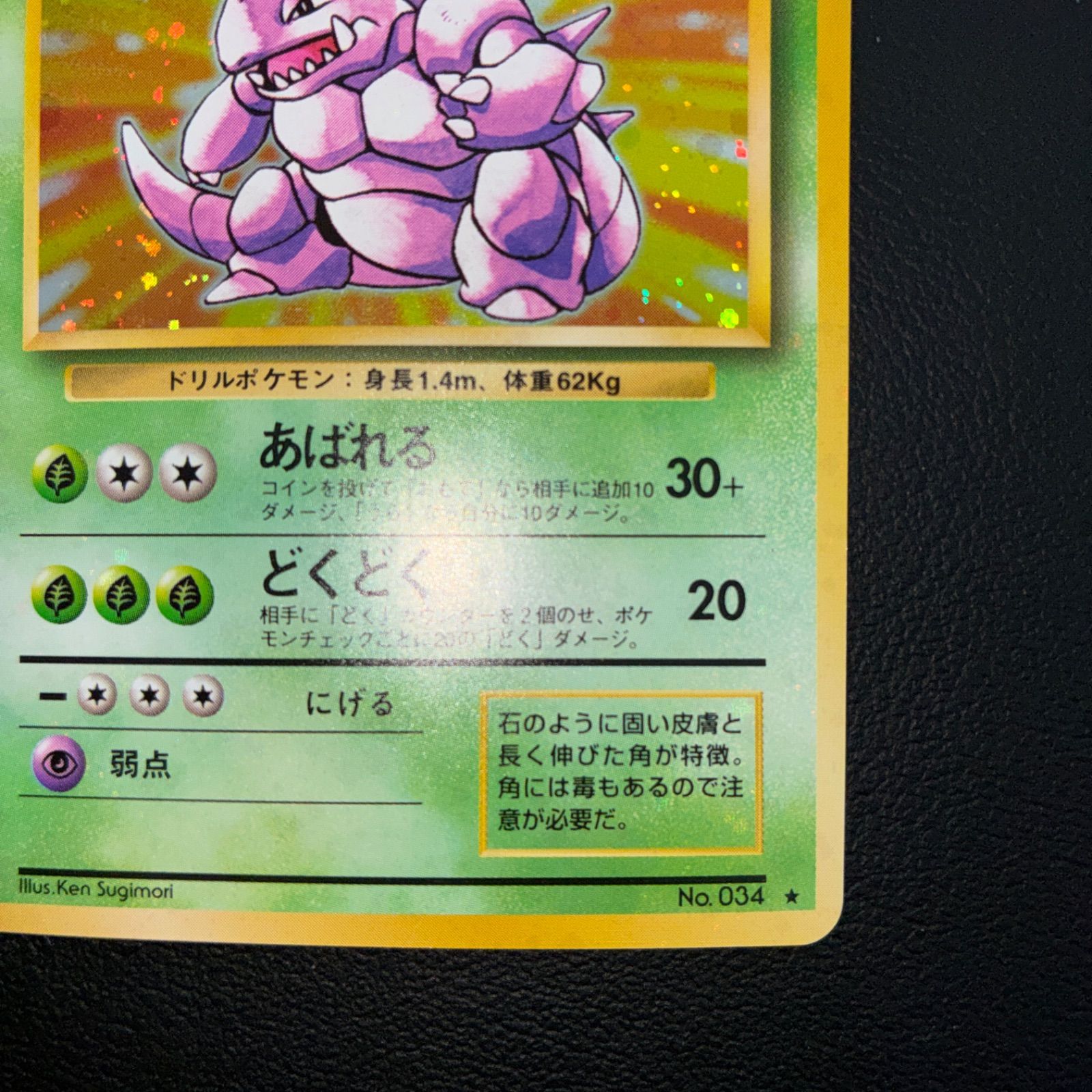 状態S ニドキング