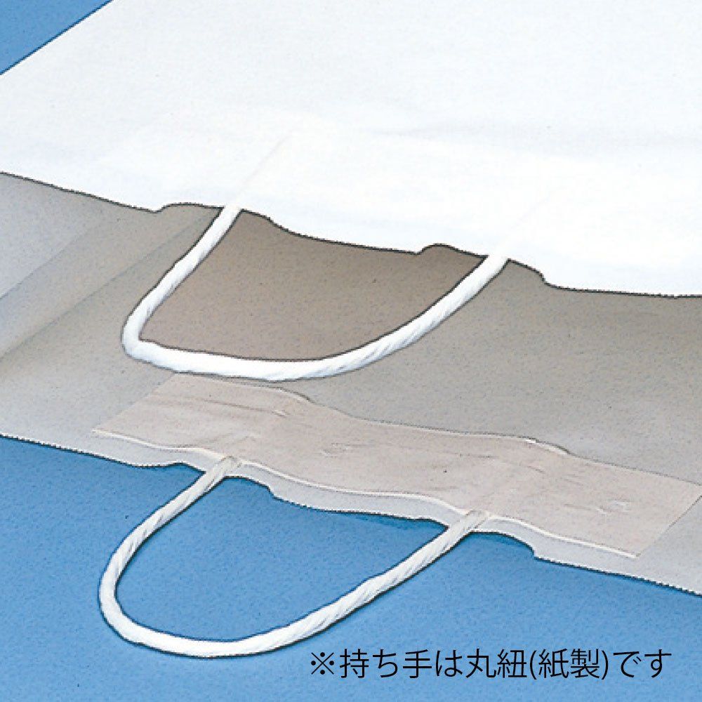 ヘイコー 手提 紙袋 25 CB 50-2 シロ 50 x 15 42 cm