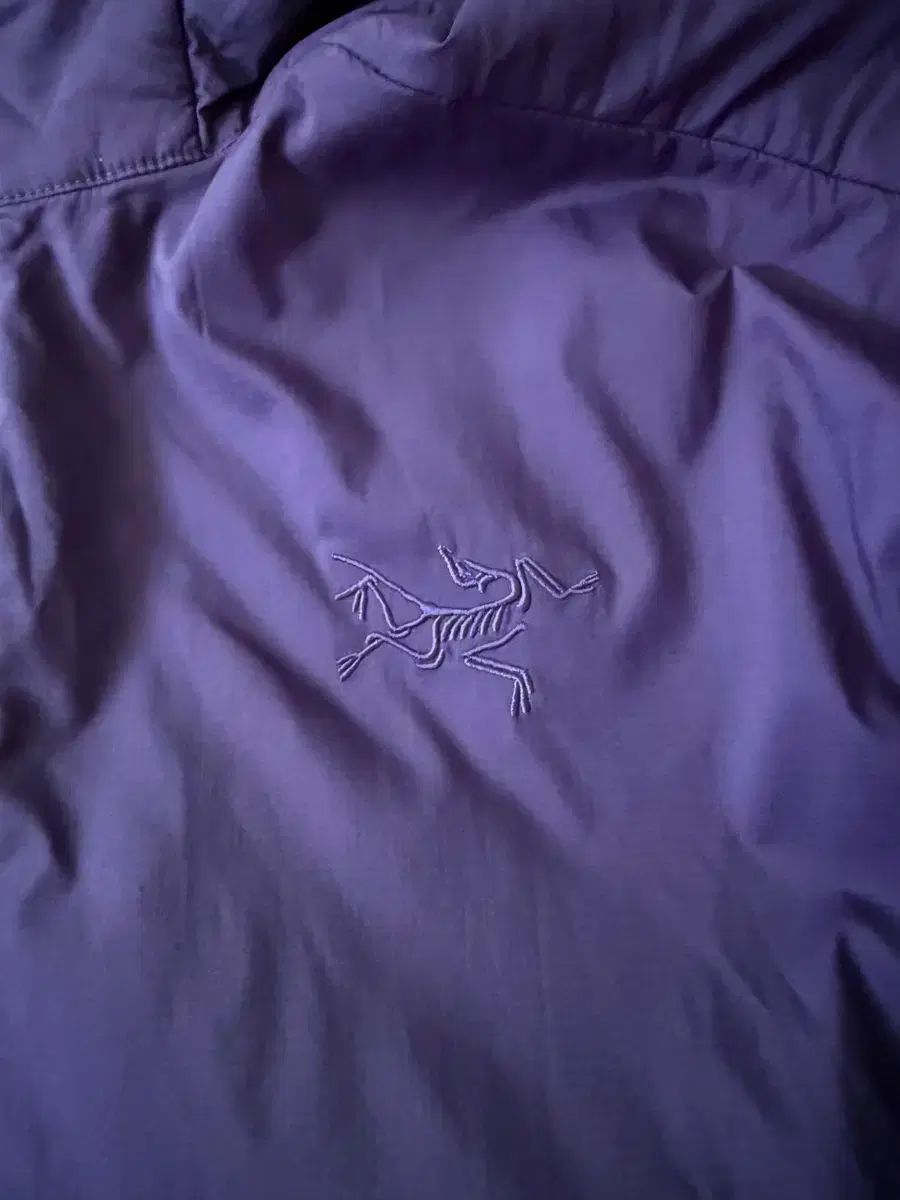 ARC TERYX アークテリクス Atom アトムフーディ SOUL ソウルソニック L