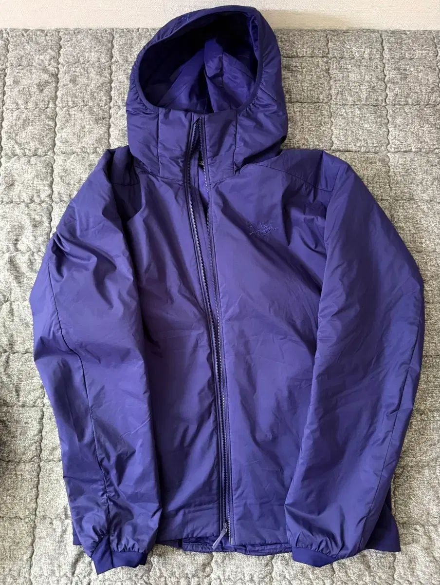 ARC TERYX アークテリクス Atom アトムフーディ SOUL ソウルソニック L