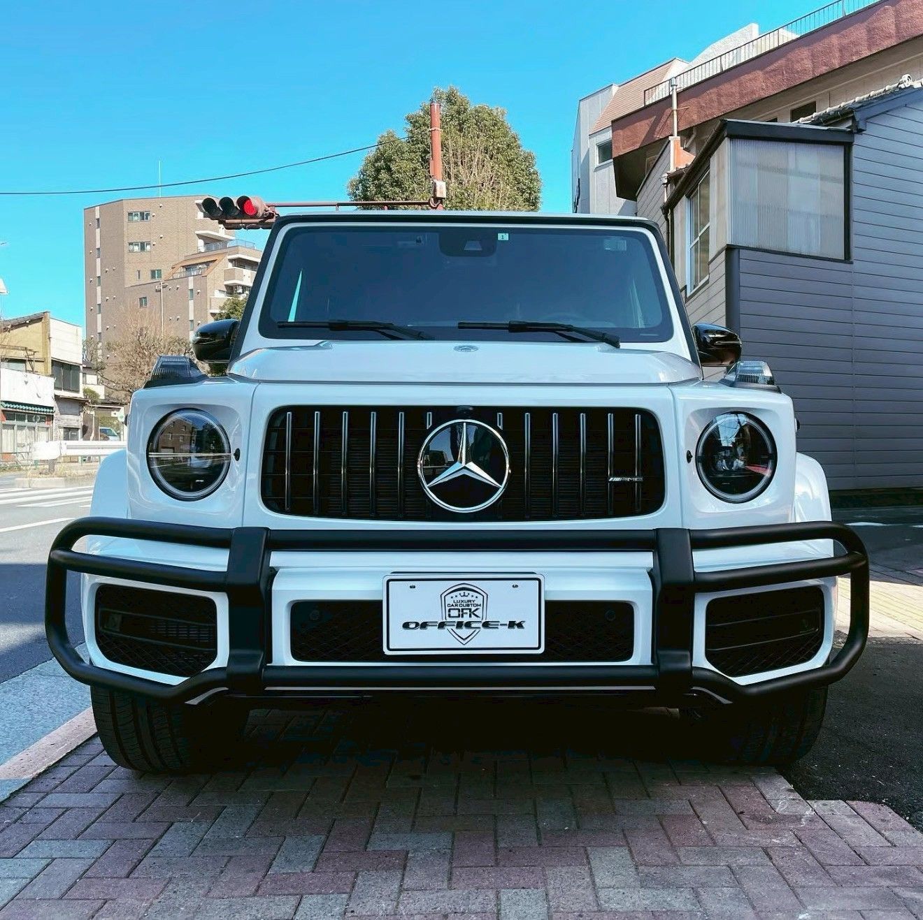 メルセデスベンツ　Gクラス バンパーガード ベンツ Gクラス W463A G63用 バンパーガード/ブラッシュガード