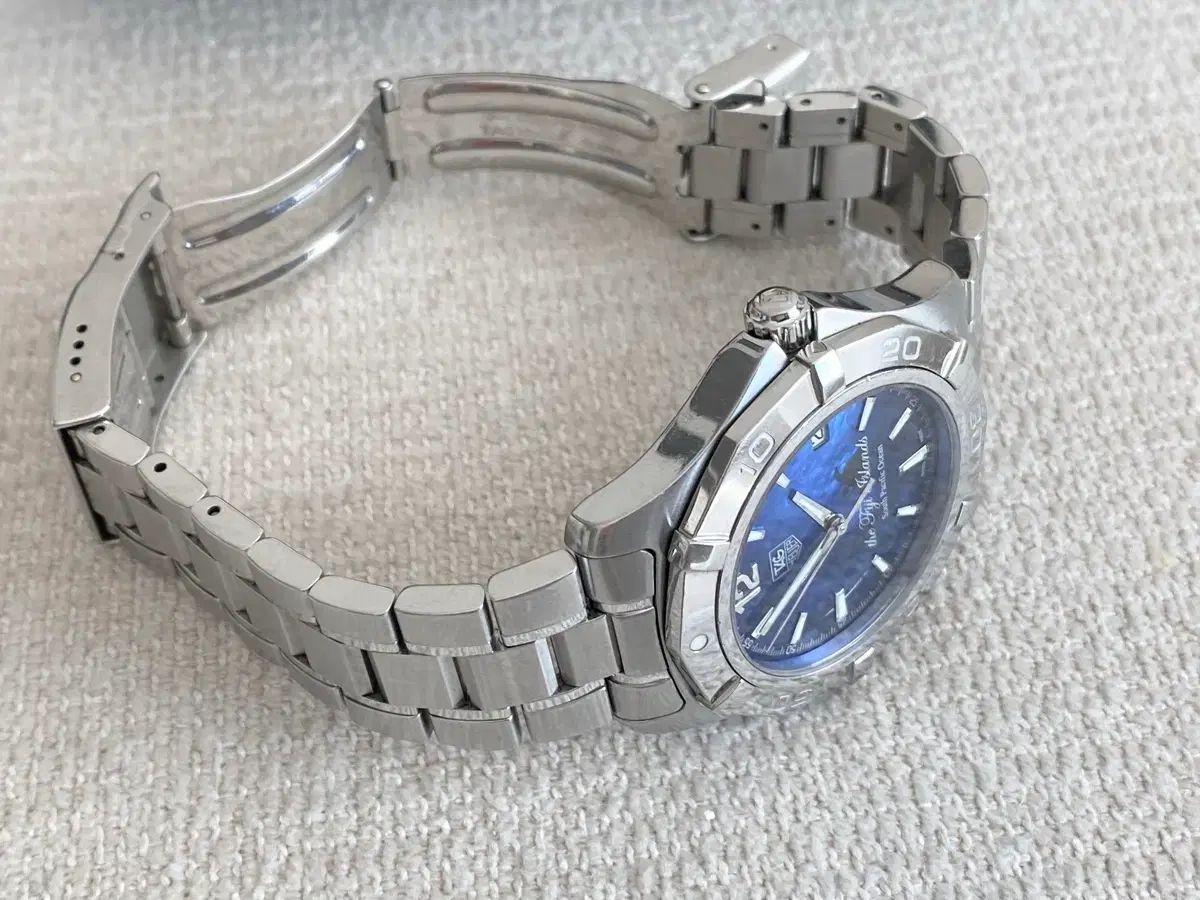 フィジー モデル