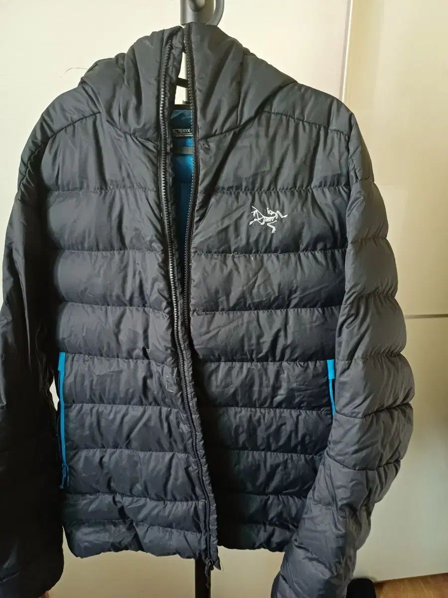  ARC TERYX アークテリクス トーリム AR XL その他 アウター