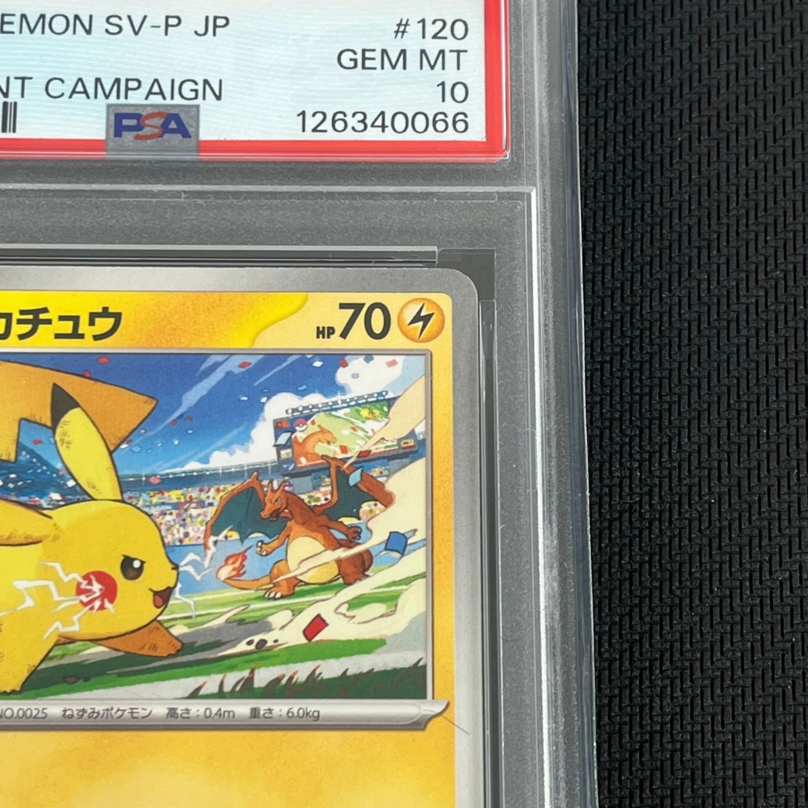 PSA10 ポケカ ピカチュウ げきとうスパーク PROMO プロモ120/SV-P 