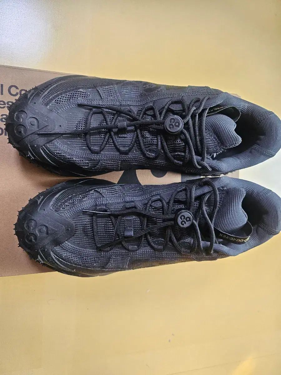 マウンテン フライ