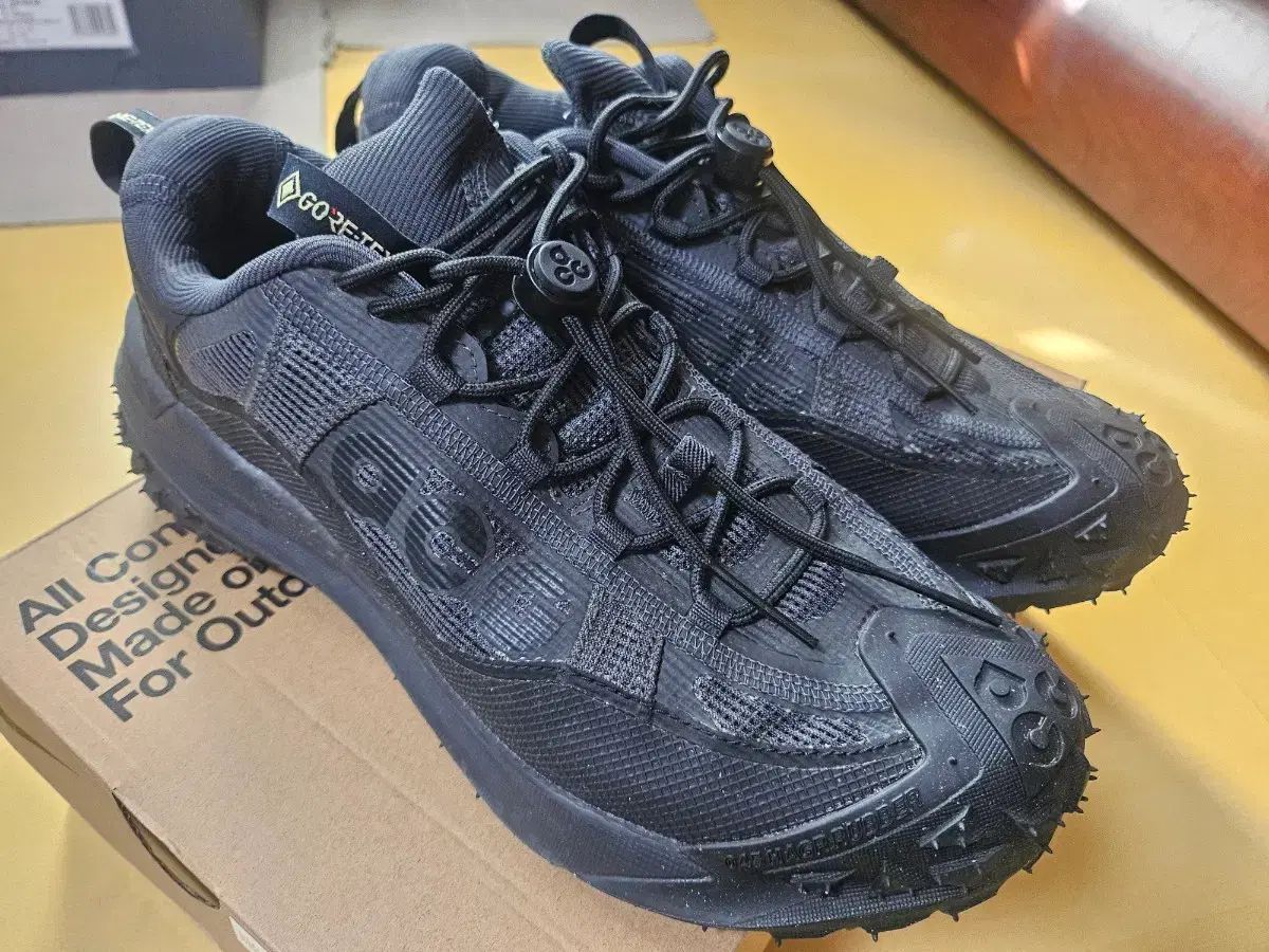 265 NIKE ACG マウンテン フライ 2 ロー GORE TEX ブラック