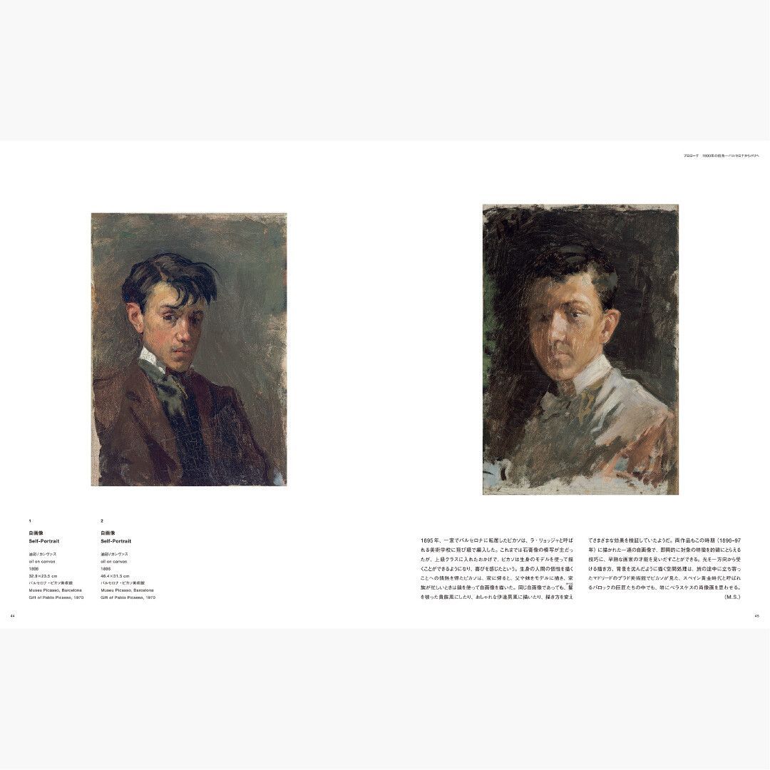 ピカソ 青の時代を超えて アートブック ポーラ美術館 青幻舎 PICASSO