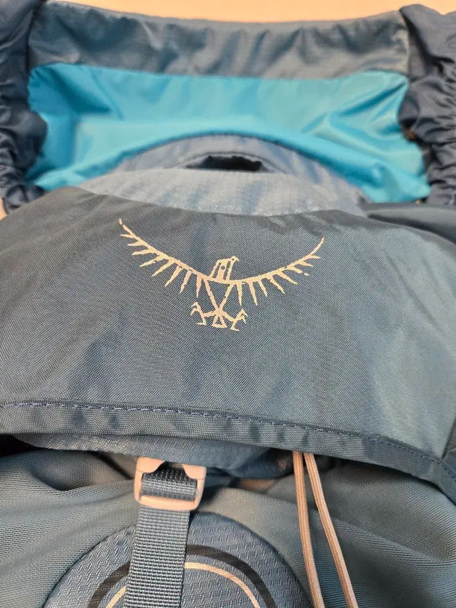 オスプレイ OSPREY アウラ 50 レディース テント バックパック バッグ 保冷 ディパック