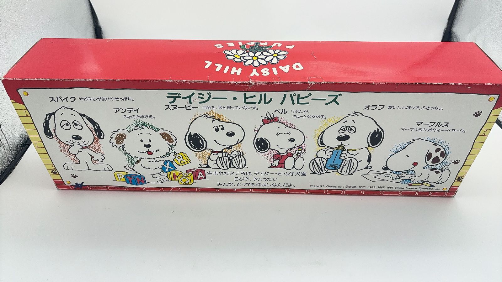 デイジーヒルパピーズ スヌーピー兄弟6匹揃い