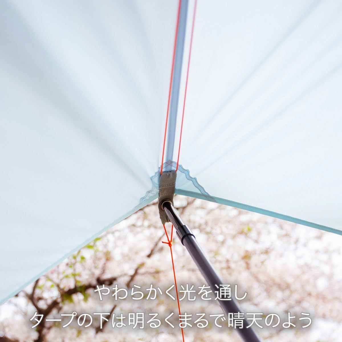 正方形 スクエア形