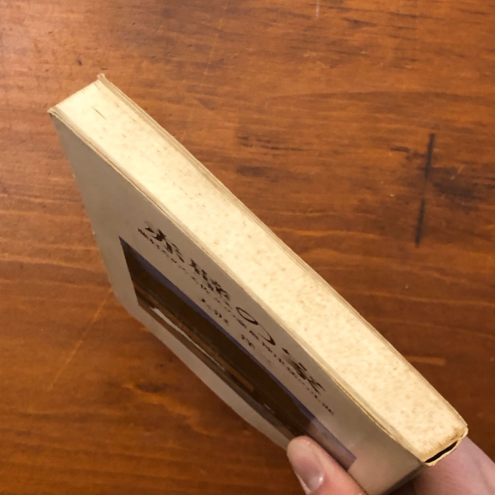 赤壁の家 藤村をめぐる佐久の豪農神津猛の生涯 大沢洋三 信濃路 昭和53