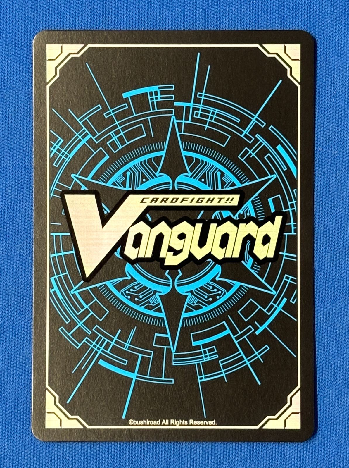 ヴァンガード 10th Anniversary 氷川日菜 サイン入り EXS DZ-BT10