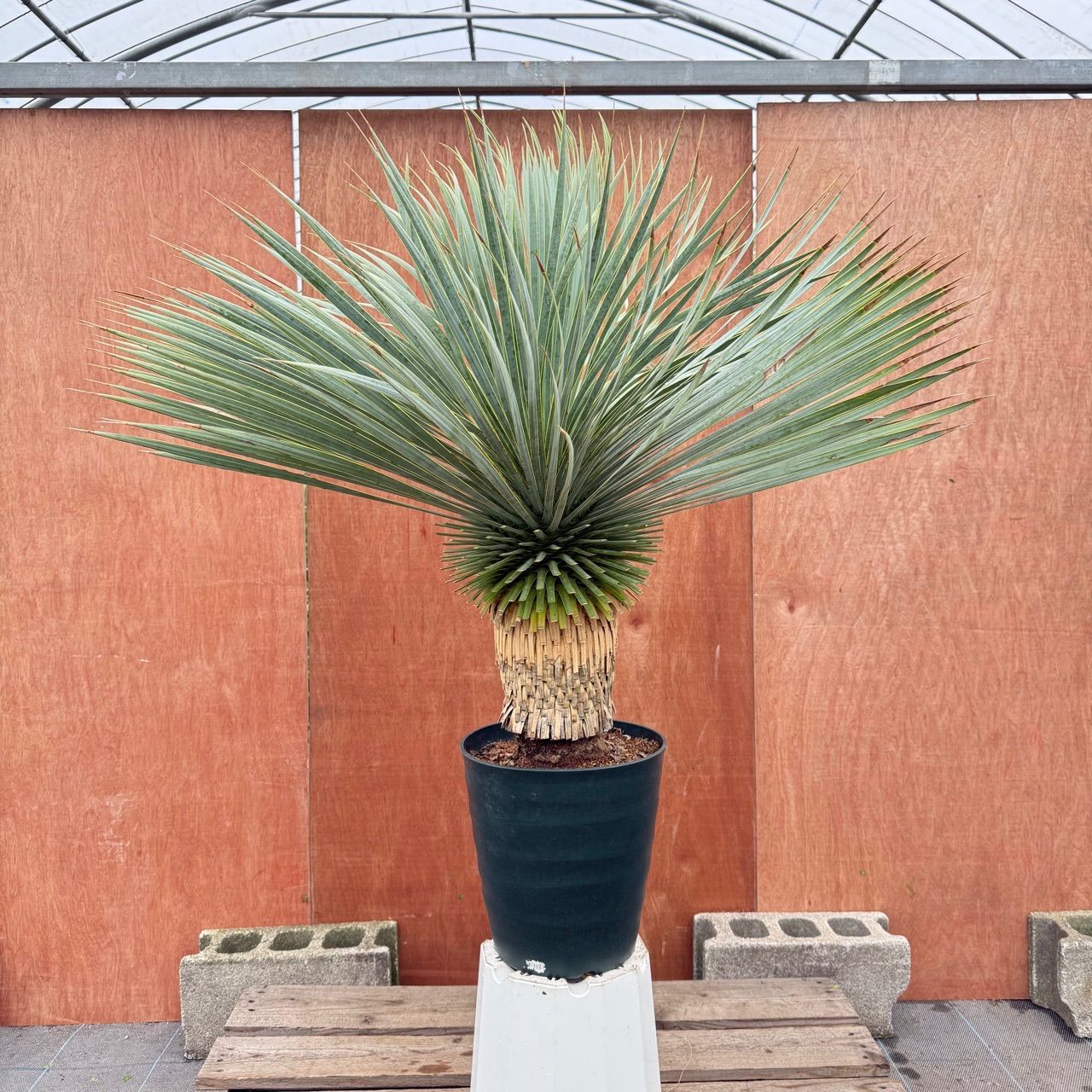 お客様専用 - メルカリ