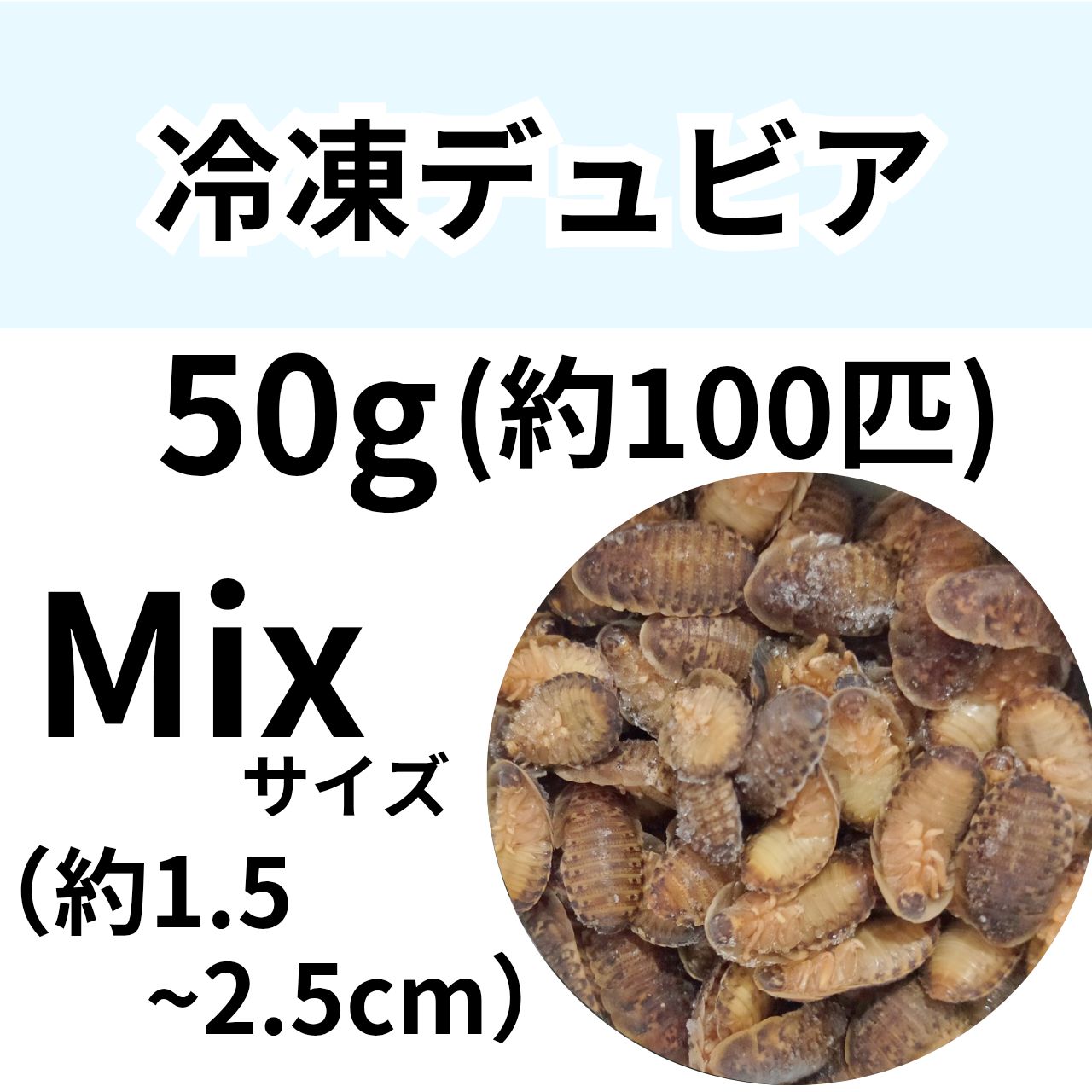 冷凍餌】 冷凍デュビア Mixサイズ 50g (約100匹入り) 爬虫類 両生類