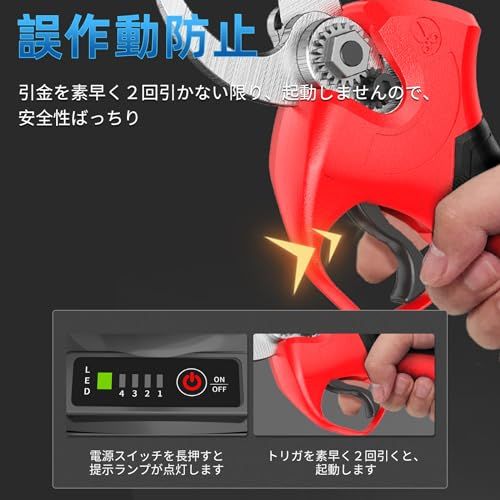 高枝カット 植木伐採