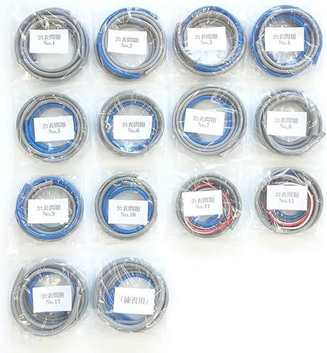 1回練習分 第2種 電気工事士 技能試験セット 公表候補問題別 ケーブルセット 1回用 一発合格 セット 電線 器具 第二種 技能試験 プロサポート PSC-2012 po 098 e 32 b 8