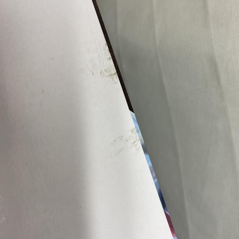 ピエール＆ガン