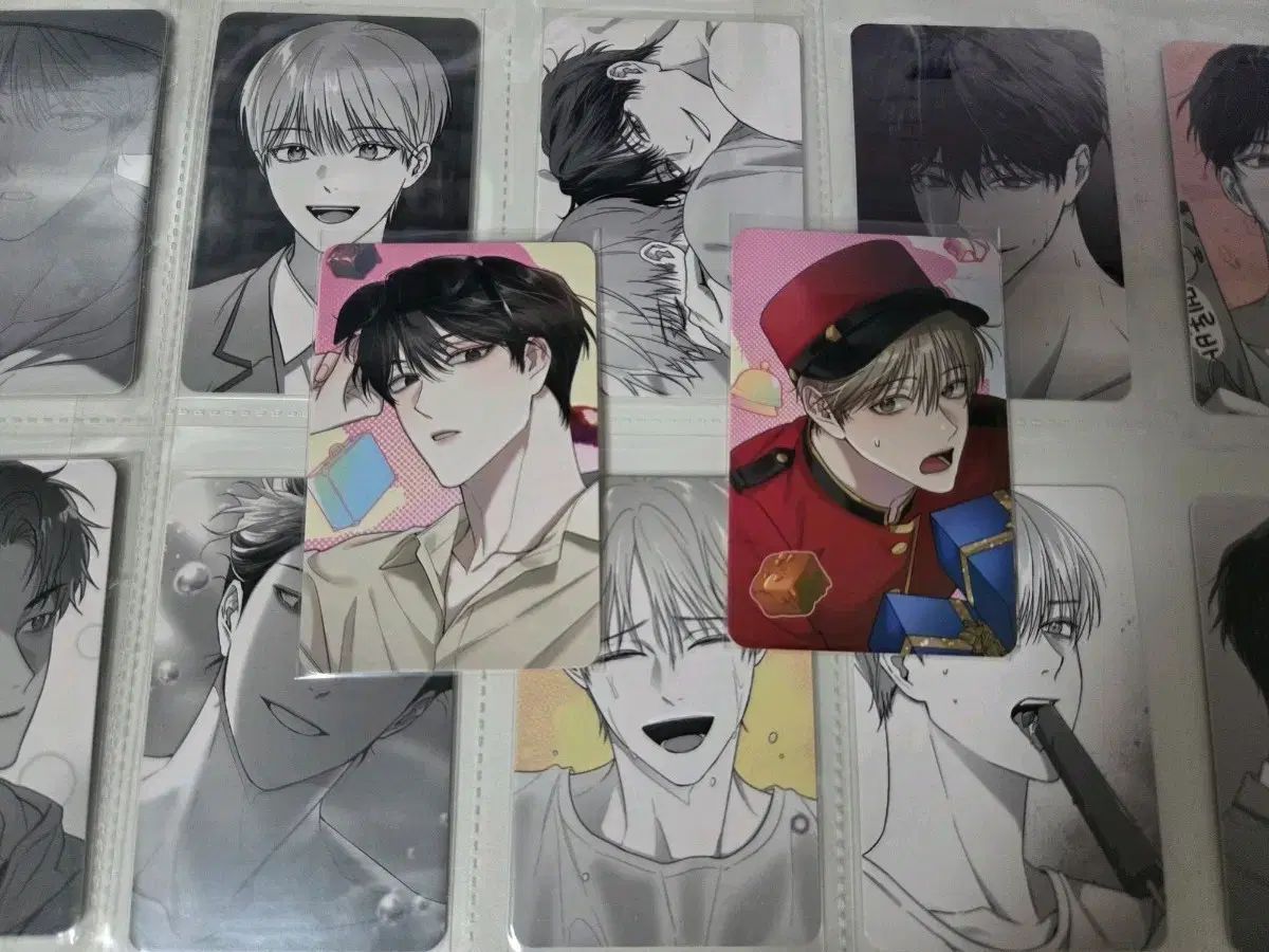 ノンゼロ島 アナザーピンク コレクション フォトカード コンプリート