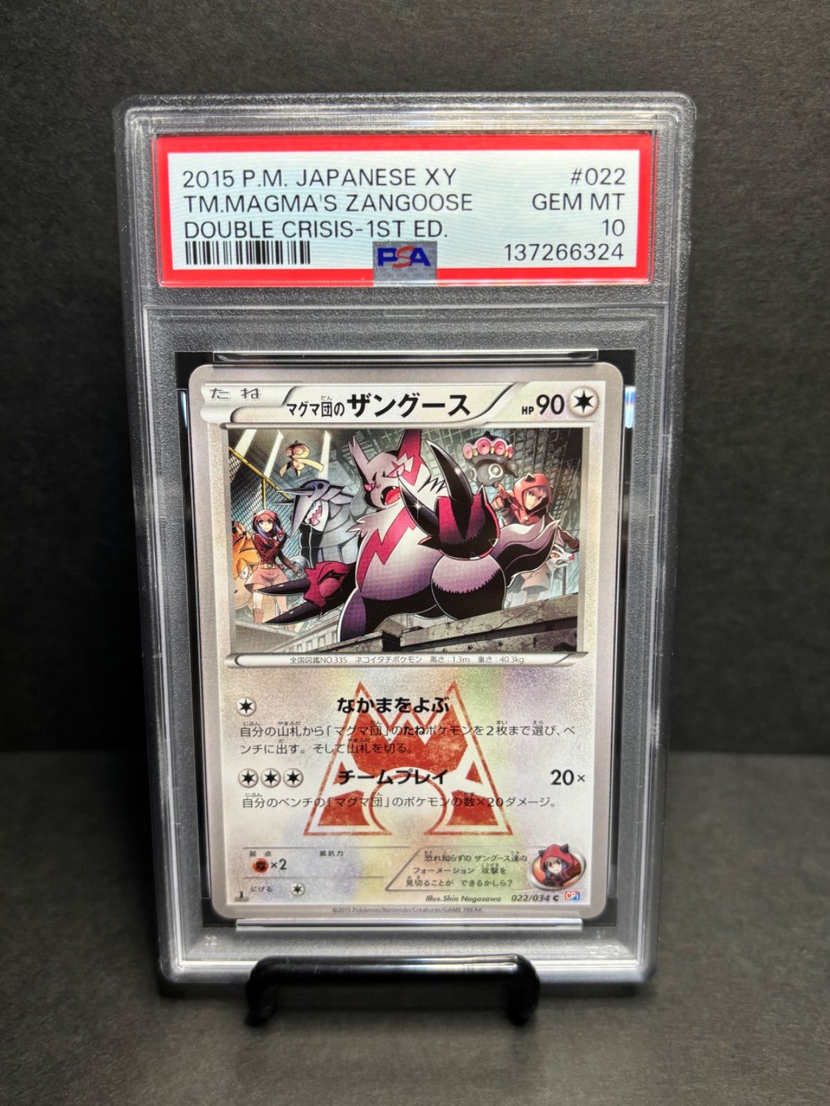 マグマ団のザングース PSA 10 C 1 ED CP 022 034 コンセプトパック マグマ団VSアクア団 ダブルクライシス