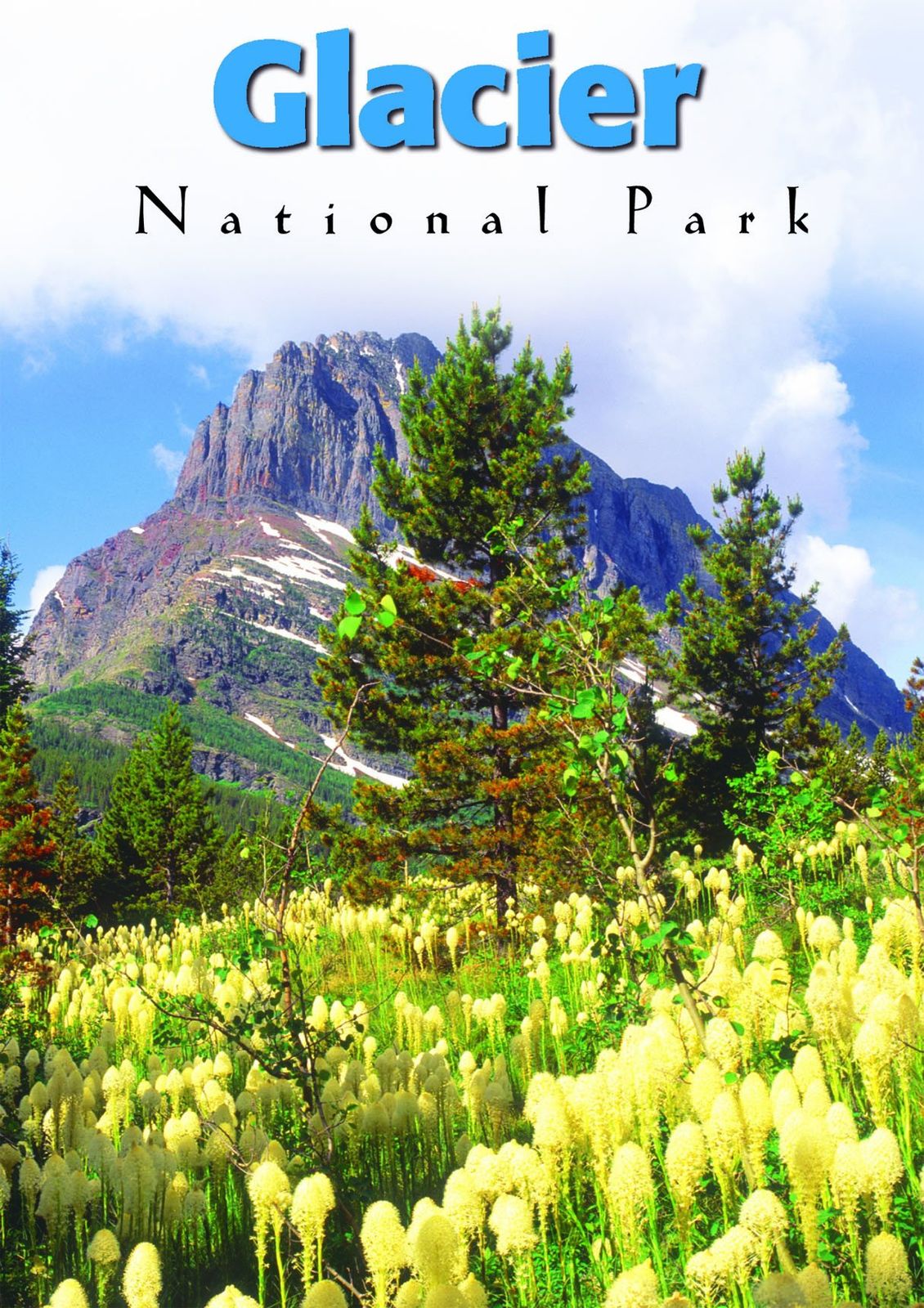Glacier National Park DVD 品