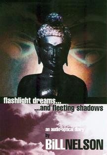 Flashlight Dream - Fleeting Shadows DVD 品