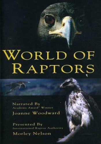 World of Raptors DVD 品