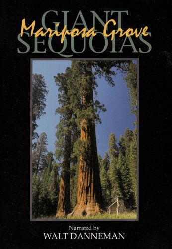 Giant Sequoias Mariposa Grove DVD 品