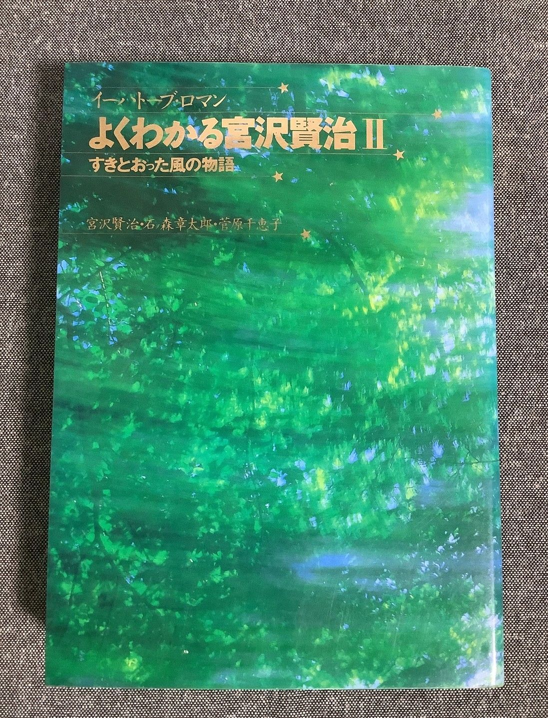 よくわかる宮沢賢治2 すきとおった風の物語 イーハトーブ・ロマン