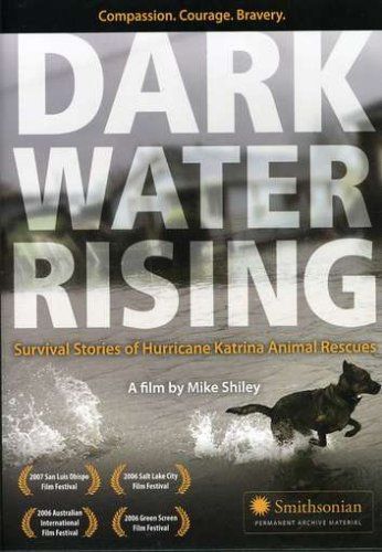 Dark Water Rising DVD 品