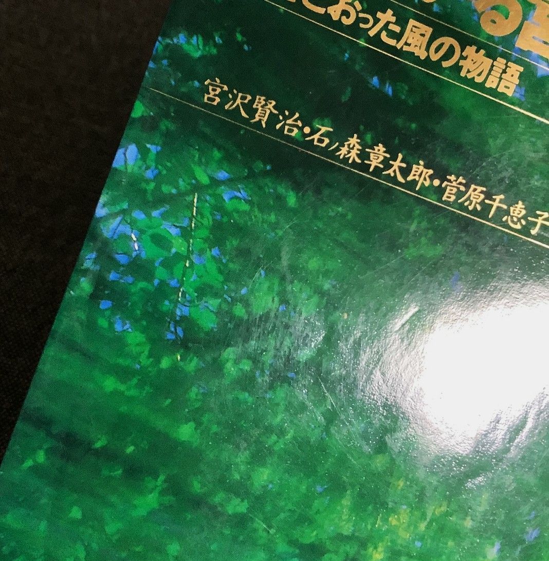 よくわかる宮沢賢治 : イーハトーブ・ロマン 2 (すきとおった風の物語) よくわかる宮沢賢治2 すきとおった風の物語 イーハトーブ・ロマン