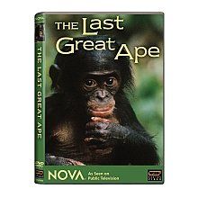 Nova Last Great Ape DVD 品